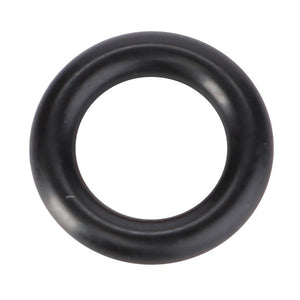 AGCO | O-Ring | AG-X548815066000