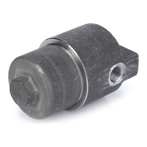 Hydraulic Filter Assembly - F178950010010 - Farming Parts