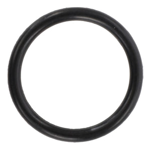 AGCO | O Ring | AG-001054026