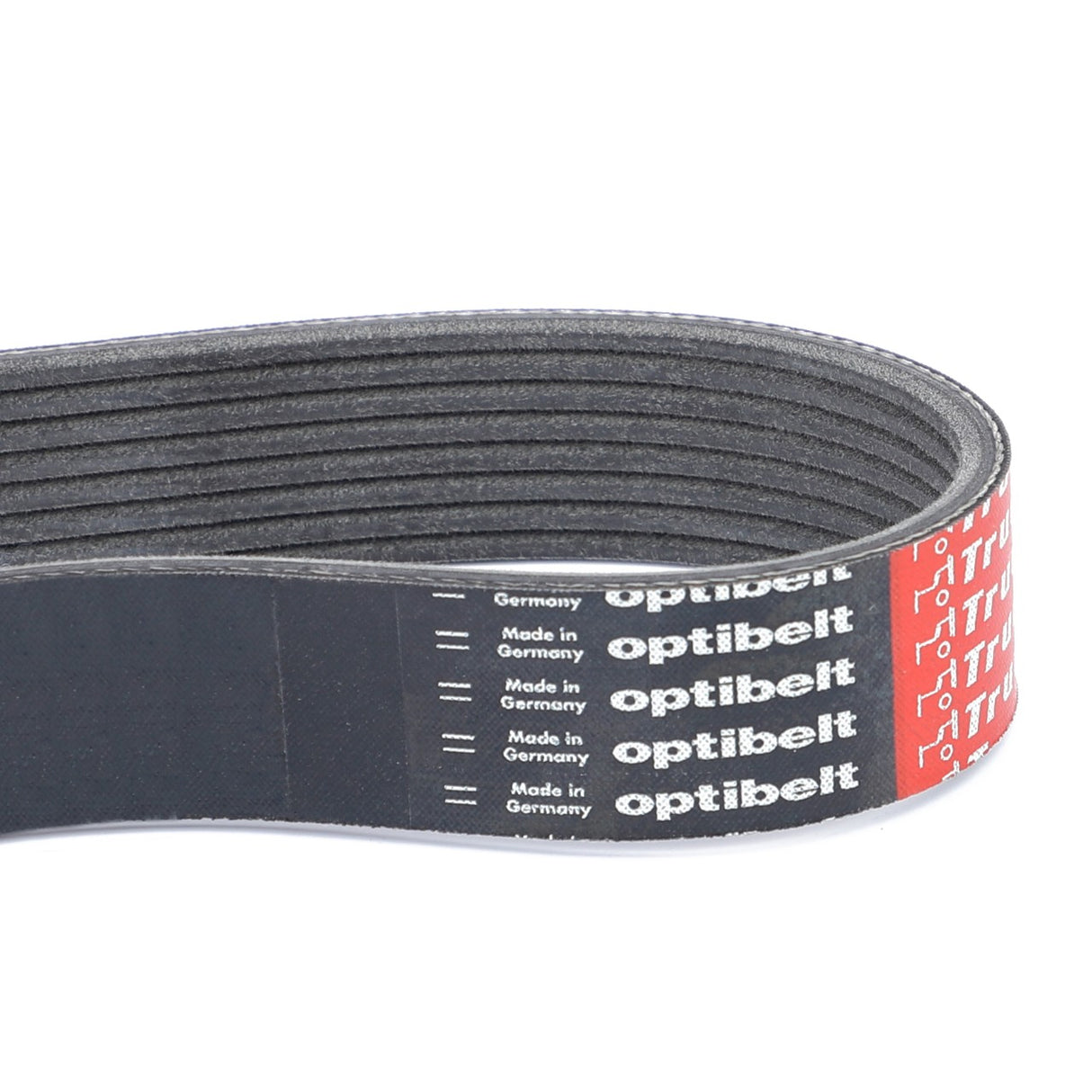 AGCO | Serpentine Belt, Pk8 Profile | AG-V685081450