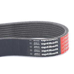 AGCO | Serpentine Belt, Pk8 Profile | AG-V685081450
