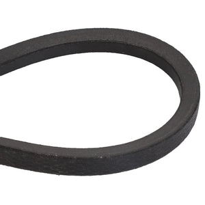 Close-up of a single black V-belt, the AGCO | BELT - D41963900, commonly used in machines for power transmission. No current product description information is available.