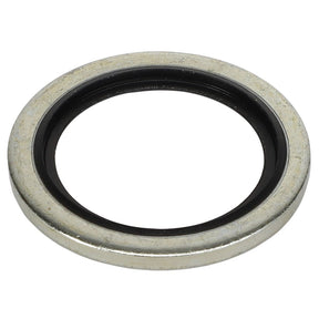 A metallic washer, identified as AGCO | WASHER - AL5013854, featuring a black inner ring, viewed from above against a white background. Currently, no additional product description information is available.