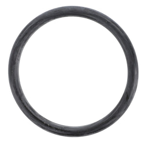 AGCO | O-RING - F716961020340