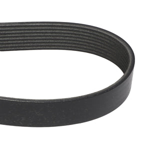 Close-up image of the AGCO | BELT - A71410502, a black automotive belt with a ribbed texture, perfect for your maintenance needs. For more details or assistance, our support team is ready to help.