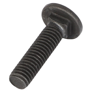 There is no detailed product description available at the moment, but it’s a black threaded metal bolt with a round, flat head. It's identified as the AGCO CARRIAGE BOLT - AG520944 by AGCO.