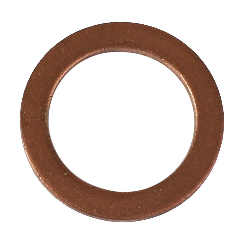 AGCO | SEALING WASHER - D45713700