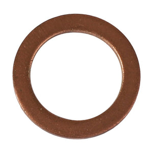 A metallic washer with a circular shape and a central hole, identified as the AGCO Sealing Washer (D45713700), shown on a white background. No current product description information is available.