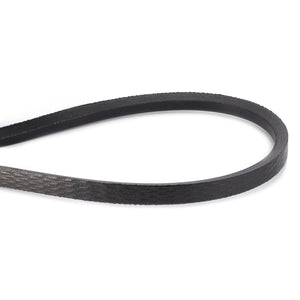 AGCO | Drive V Belt, Second Cleaner - D41912400 - Farming Parts