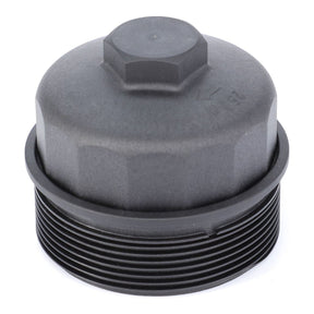 Hexagonal black plastic threaded cap, perfect for securing onto AGCO's Filter Housing - F716201060110.