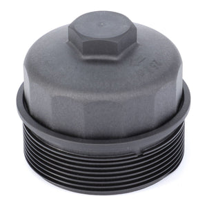 Hexagonal black plastic threaded cap, perfect for securing onto AGCO's Filter Housing - F716201060110.