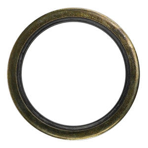 The AGCO Gasket (Model AL5013855) features an aged, brass-colored exterior with a dark inner edge. This circular gasket boasts a simple design but lacks a detailed product description at this time.