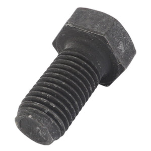 AGCO | Hex Head Bolt | AG-3010916X1
