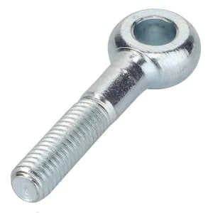 The AGCO EYE BOLT - 0903-34-21-00 is a silver-metal eye bolt featuring a threaded shaft and a circular, open eye at one end. No current product description information provided.