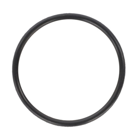 A black circular rubber O-ring, the AGCO | O-Ring, Steering Cylinder - 1884795M1, made from high-quality materials, is viewed from above against a white background. It showcases genuine AGCO O-ring seals with impeccable manufacturing consistency.