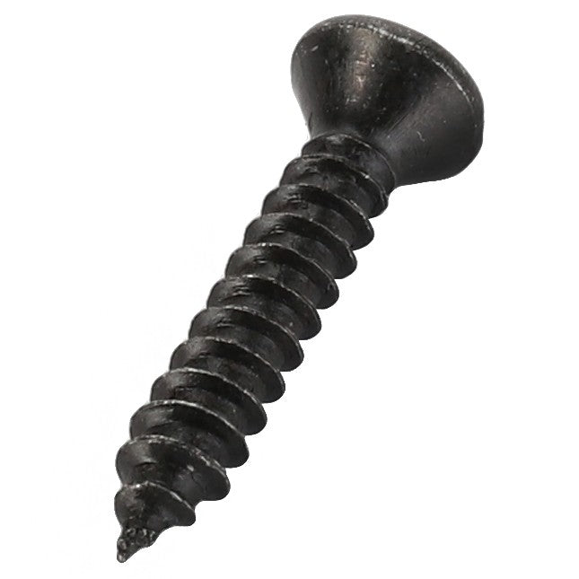 Product Description: The AGCO | Bolt - Va023454 from AGCO is a close-up of a black metal screw featuring a pointed tip and a round head.