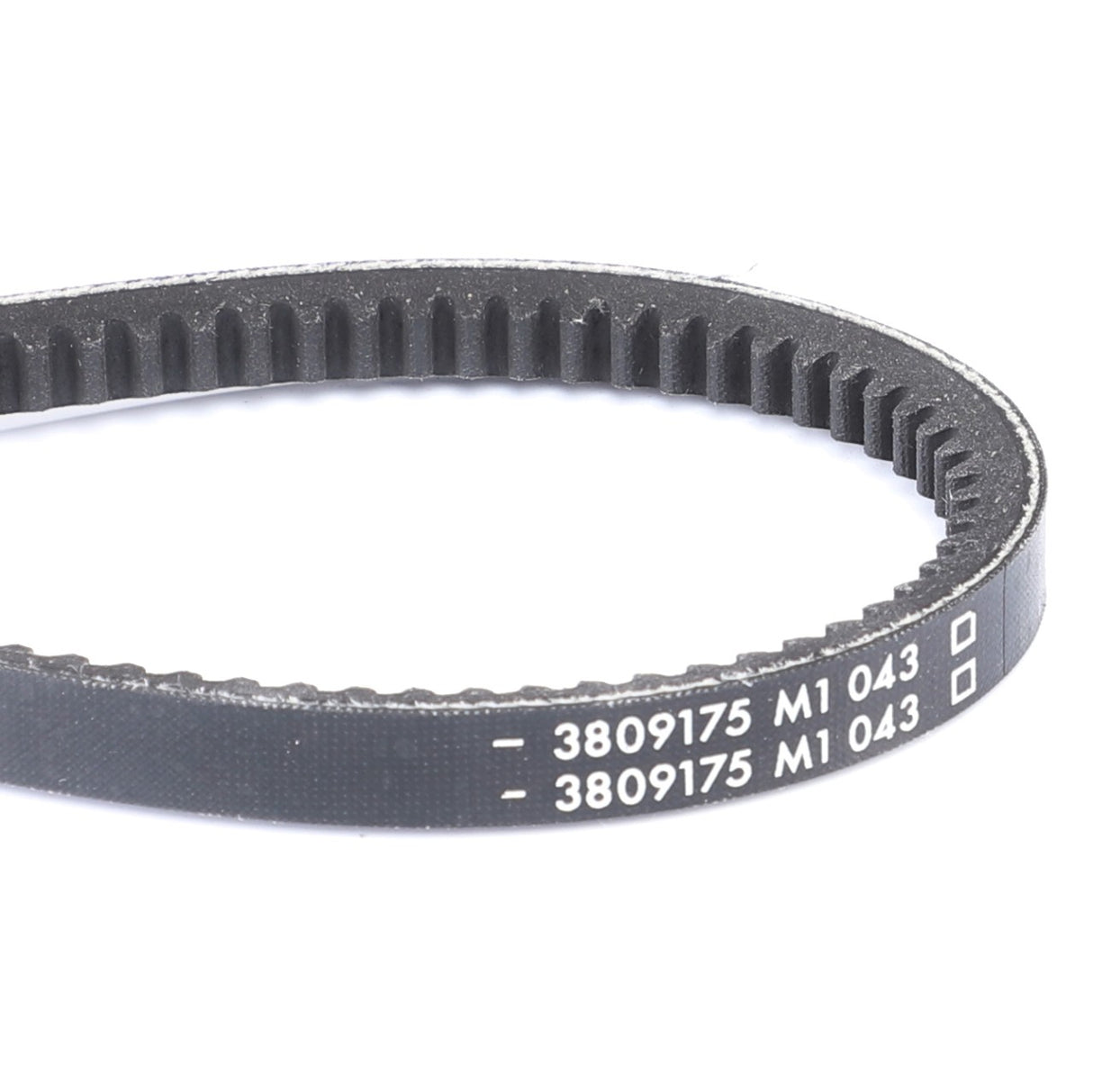 AGCO | V-Belt | AG-3809175M1