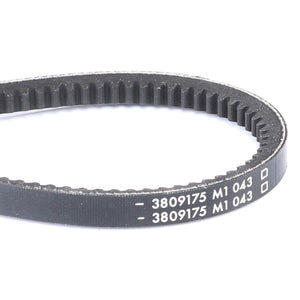 AGCO | V-Belt | AG-3809175M1