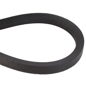 AGCO | V BELT - D41982200