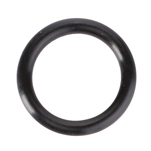 AGCO | O-Ring | AG-3014123X1