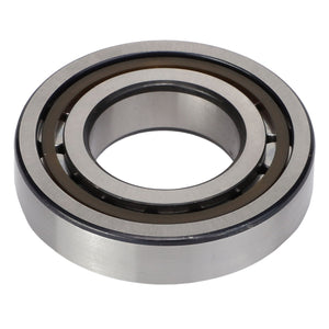 AGCO | Cylinder Roller Bearing | AG-X620307903003