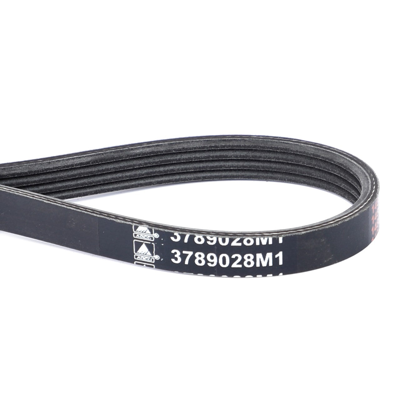 AGCO | Serpentine Belt, Pk4 Profile - 3789028M1 - Farming Parts