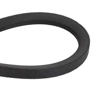 AGCO | BELT - D41996300