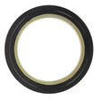 AGCO | Oil Seal, Final Drive - 4305964M1 - Farming Parts