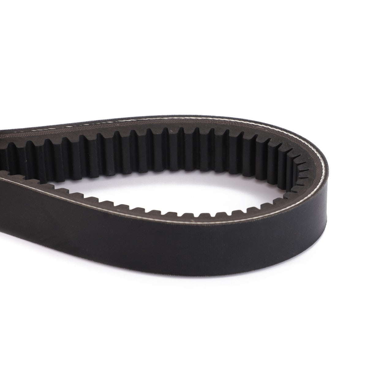 A close-up view of the AGCO V Belt - D41981100 showcases a black rubber toothed belt with a continuous loop design, highlighting its ridged inner surface. No current product description information is available.