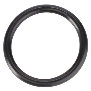 A genuine black rubber O-ring, named AGCO | O-Ring, Hydraulic Coupler - F514960100020, specifically designed for Fendt Models and high-performance demands by AGCO, displayed on a crisp white background.