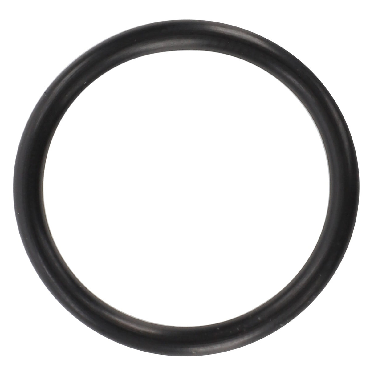 AGCO | Seal | AG-3973956M1