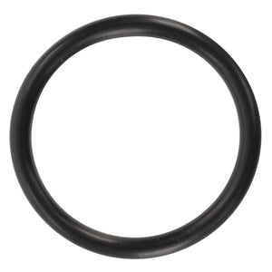 AGCO | Seal | AG-3973956M1