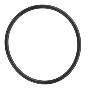 AGCO | O RING - D45481500