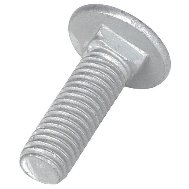 AGCO | Round Head Square Neck Carriage Bolt - Acw0997810 - Farming Parts