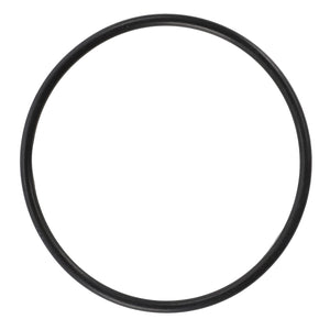 An AGCO | O-Ring - F743300020420, evocative of the precision components used in Massey Ferguson or Valtra T-series, rests against a white background.