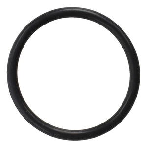 AGCO | O Ring - 3009597X1 - Farming Parts