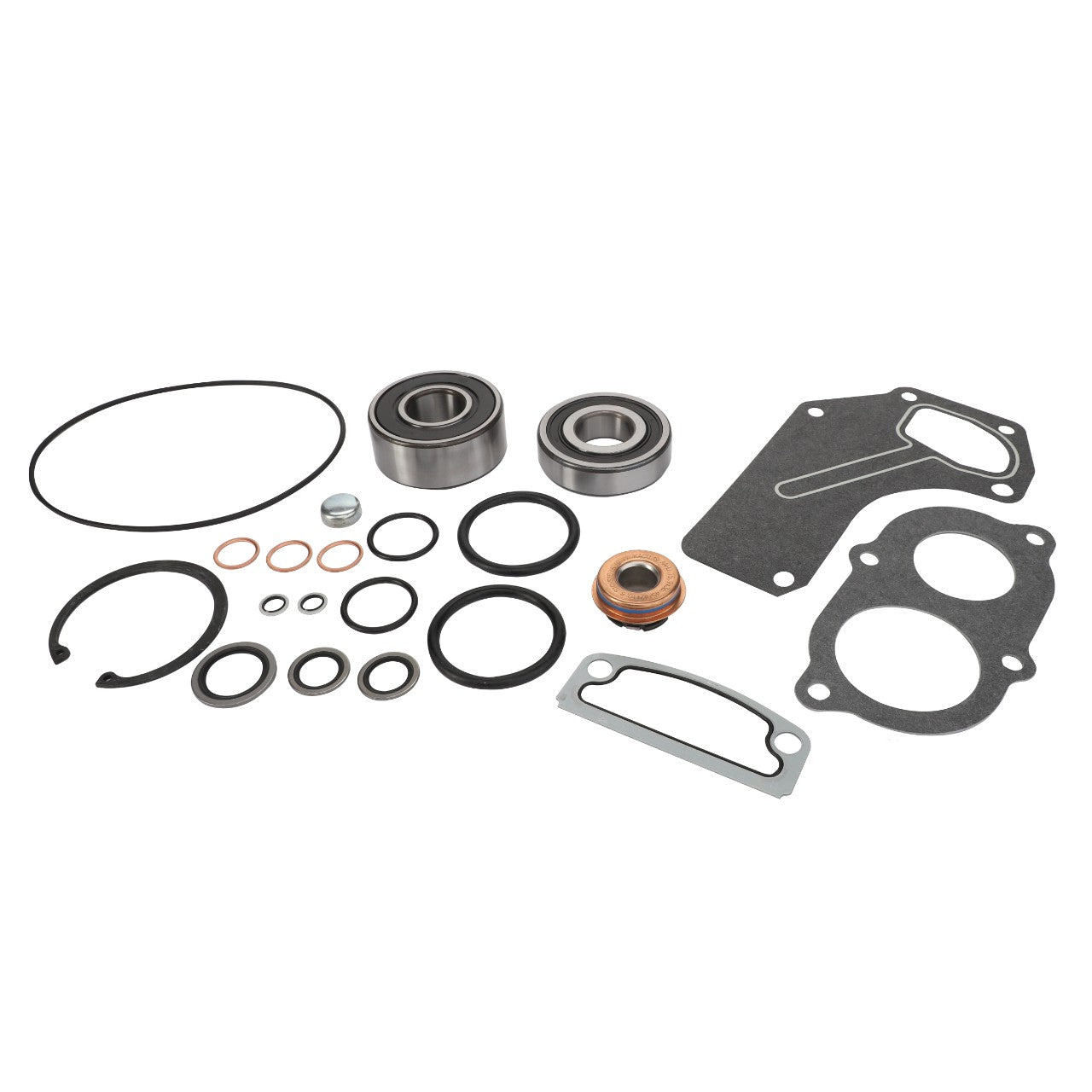 AGCO | Water Pump Repair Kit - Acp0413720 - Farming Parts