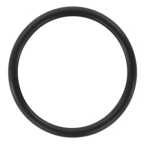 A black rubber O-ring, AGCO | O Ring - 1749440M1, with a circular shape on a plain white background, suitable for Fendt Models and Massey Ferguson Models.