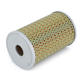 Product Data: An AGCO Engine Oil Filter Cartridge - F139207310511 with a cylindrical, perforated metal design, featuring a gold-colored mesh and silver ends, ensures maximum protection.