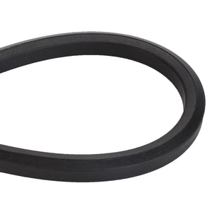 A black AGCO V BELT - D41972100 in a loop shape, partially coiled on a white background. No current product description information available.