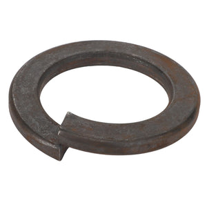 AGCO | Spring Washer | AG-La350354548