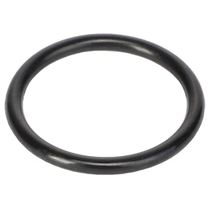 Image of the AGCO O-RING - AG609418, featuring a smooth surface and a circular shape. No current product description information is available.