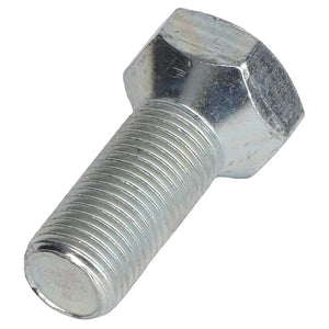 Close-up image of the AGCO Hex Cap Screw - B10764 featuring a metallic, threaded shaft. No current product description information is available.