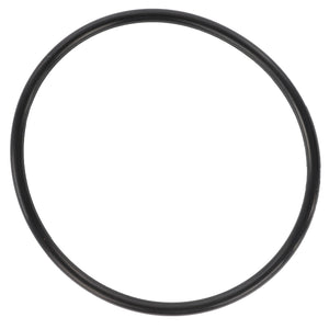 AGCO | O-Ring - D45481200