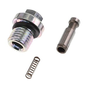 The AGCO Valve - Acp0218040 kit includes a threaded plug with a black gasket, a small cylindrical pin, and a coiled spring, all meticulously arranged on a pristine white background.