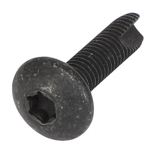 AGCO | TORX HEAD SCREW - CH3E-8020