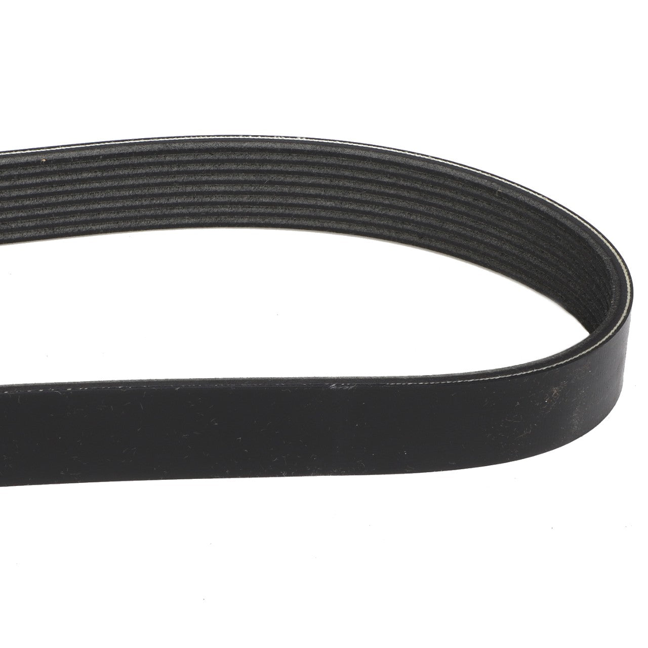 AGCO | BELT - A3288601