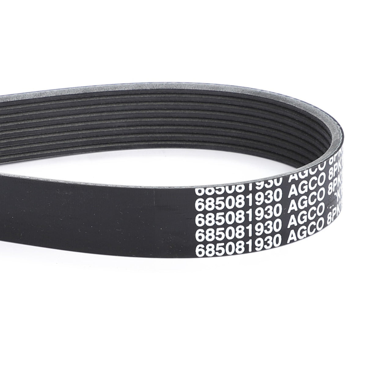 AGCO | Serpentine Belt, Pk8 Profile | AG-V685081930