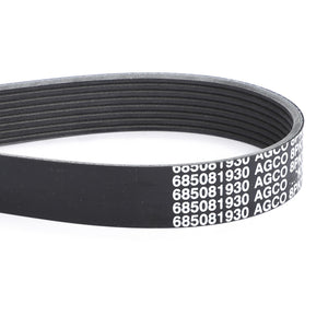 AGCO | Serpentine Belt, Pk8 Profile | AG-V685081930