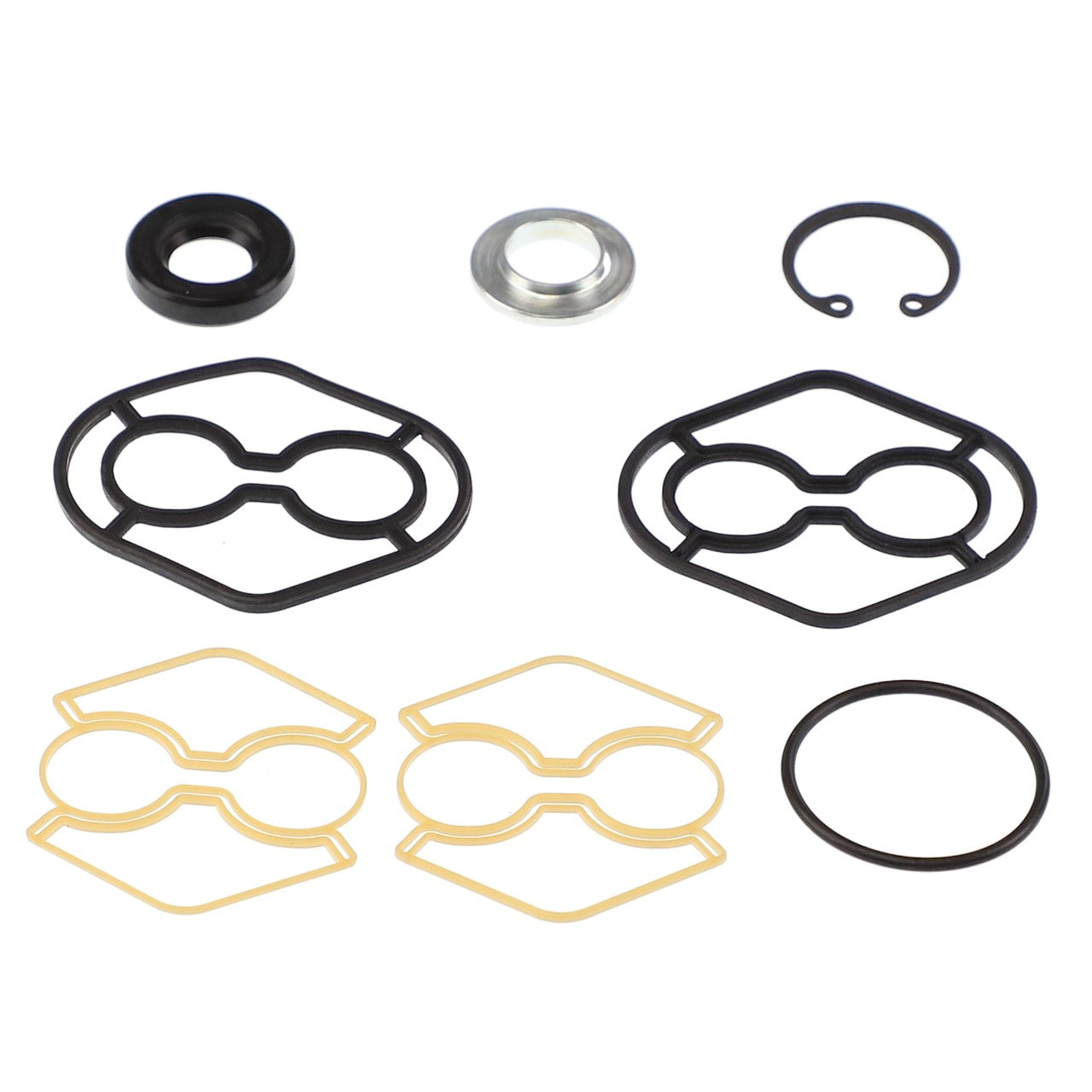 A variety of AGCO rubber and metal gaskets, O-rings, and seals from the SEALS KIT - D49070065 arranged on a white background. No current product description information is available.